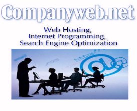 Company Web Site Development Web Hosting Web Site Traffic Optimization